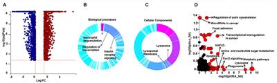 Derangement of Metabolic and Lysosomal Gene Profiles in Response to Dexamethasone Treatment in Sarcoidosis